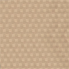 New Shadow Cube Cookie